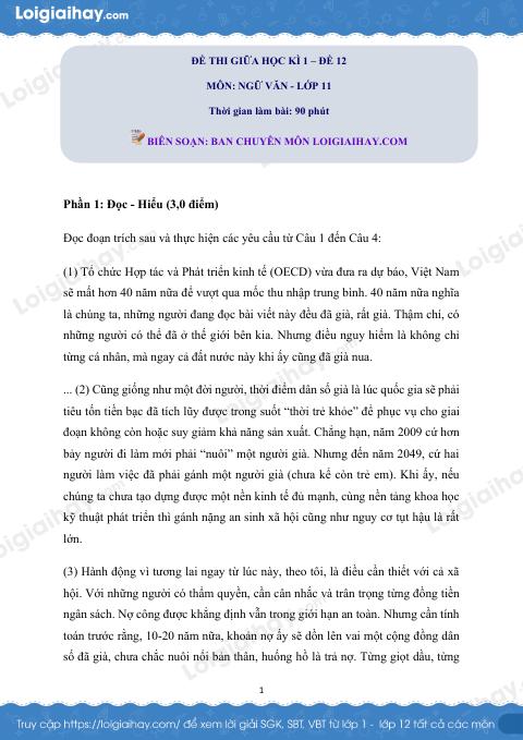Đề kiểm tra giữa học kì I Ngữ văn 11 - Đề số 12 có lời giải chi tiết